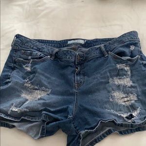 Torrid shorts